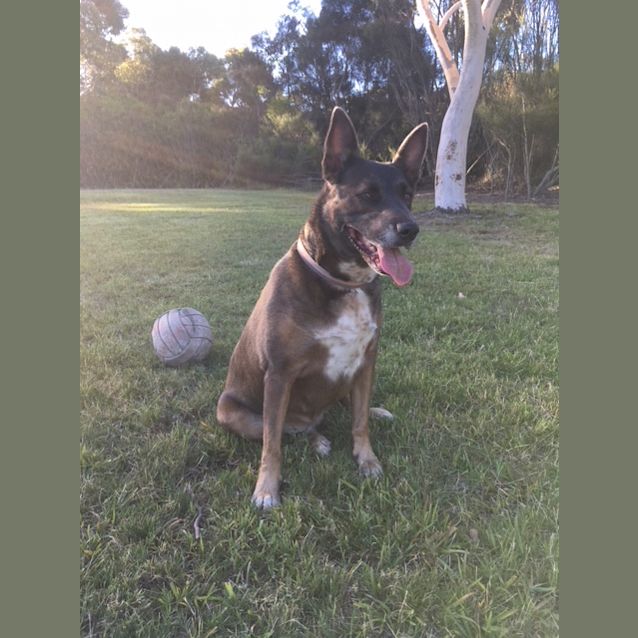 Photo of Laney