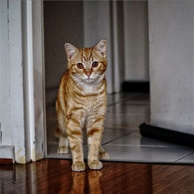 Photo of Ginny