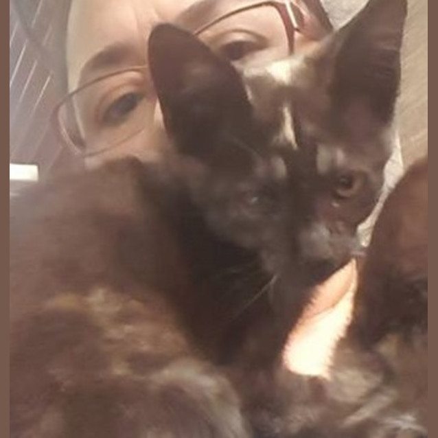 Photo of Deeanne **2nd Chance Cat Rescue**