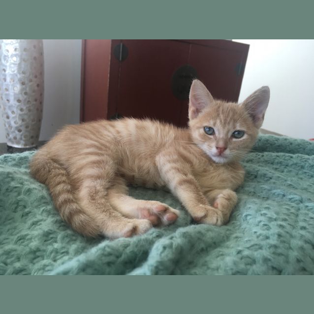 Photo of Fred