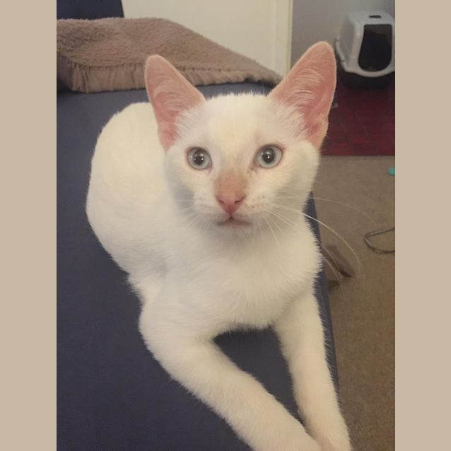 Photo of Luca