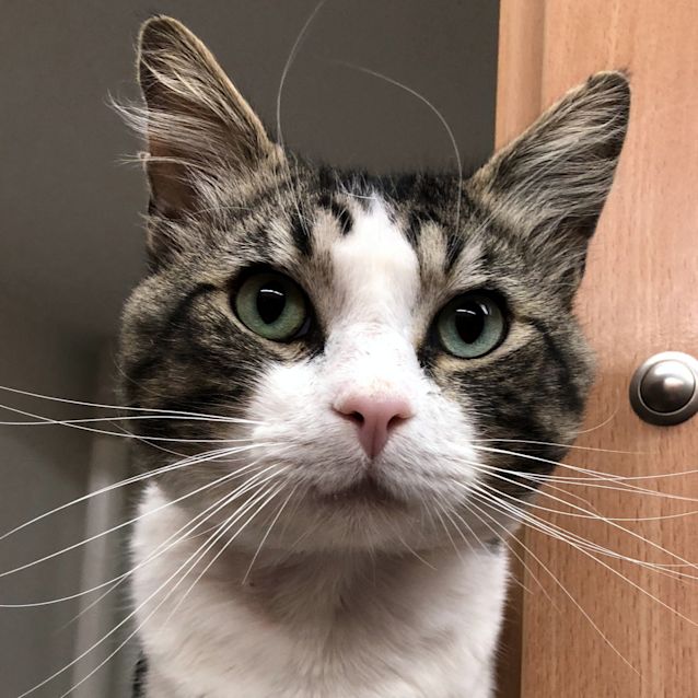 Photo of Finn