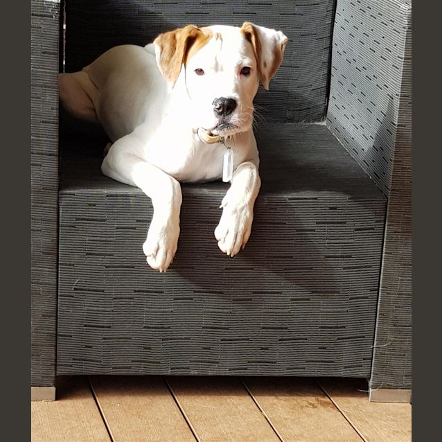 Photo of Sophie