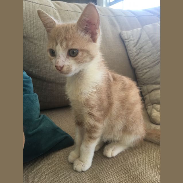 Photo of Molly