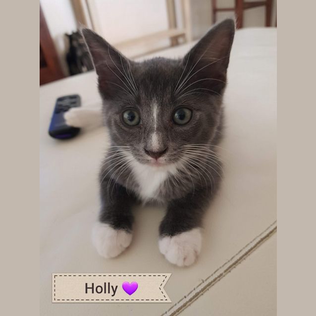 Photo of Holly