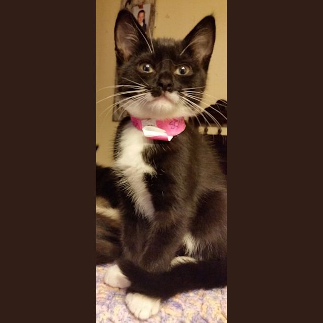 Photo of Sophie