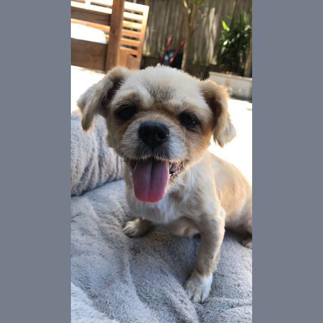 Photo of Tubby