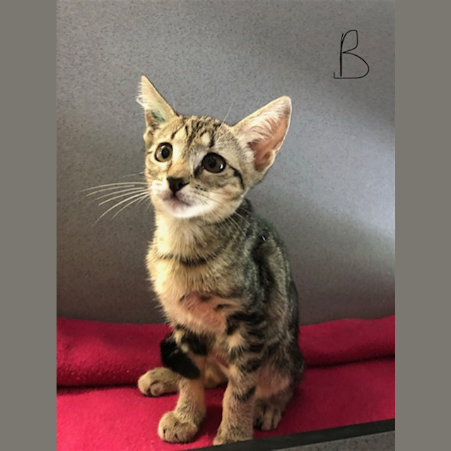 Photo of Beth