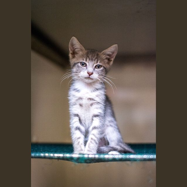 Photo of Tabitha