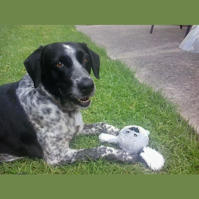 Photo of Sally 
