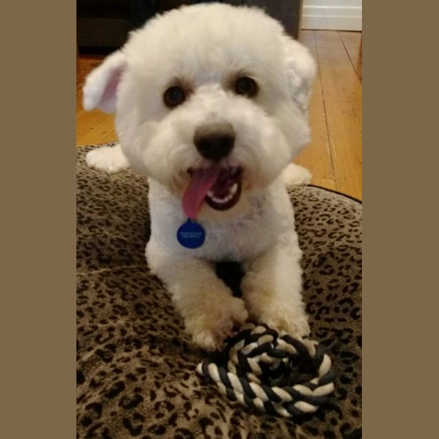 Photo of Sinclair