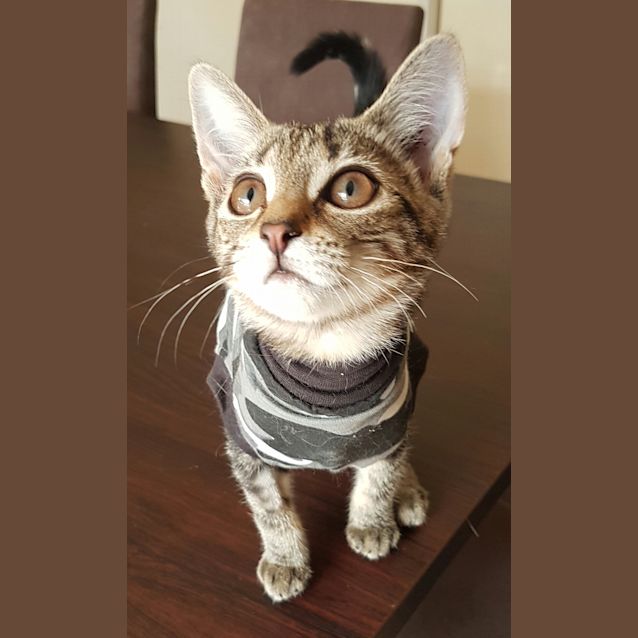 Photo of Elsa