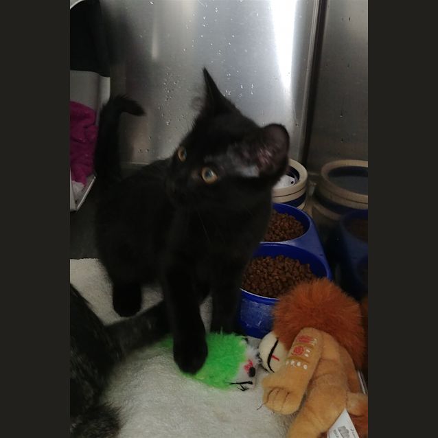 Photo of Odette