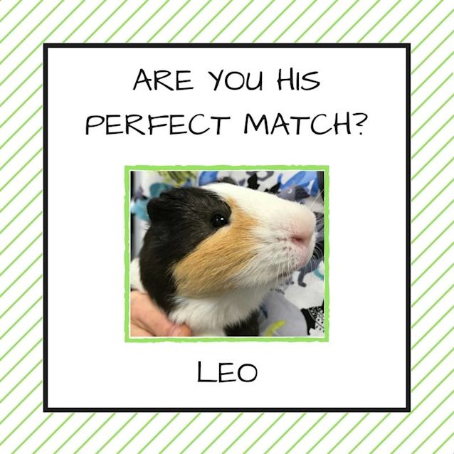 Photo of Leo 