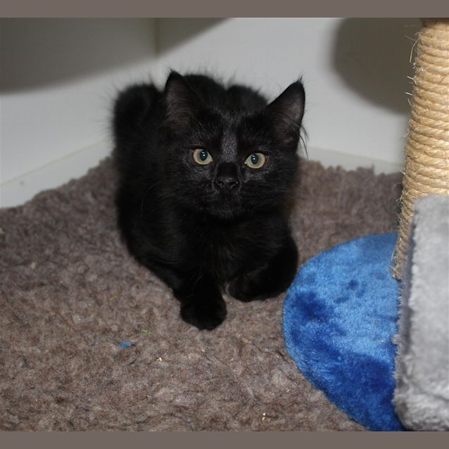 Photo of Tilly