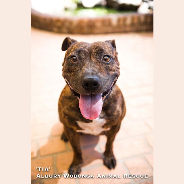 Photo of Tia