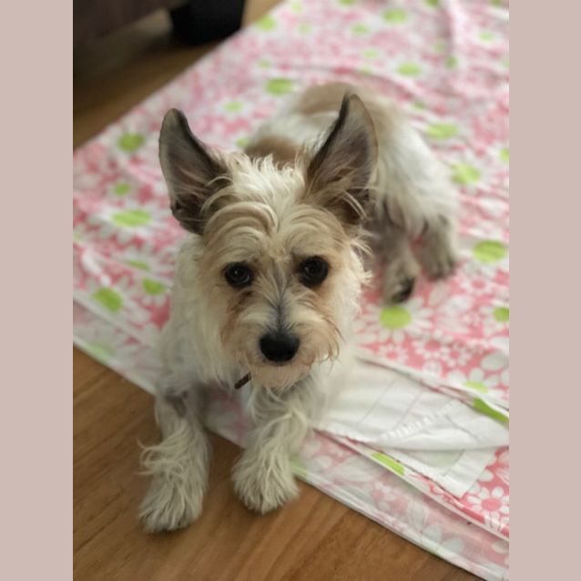Photo of Tess (Now Evie)