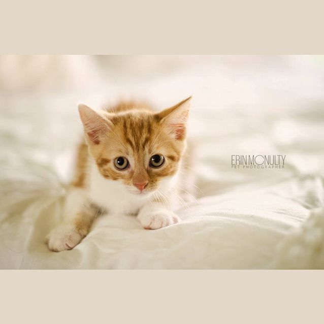 Photo of Letty   Available Mid Feb