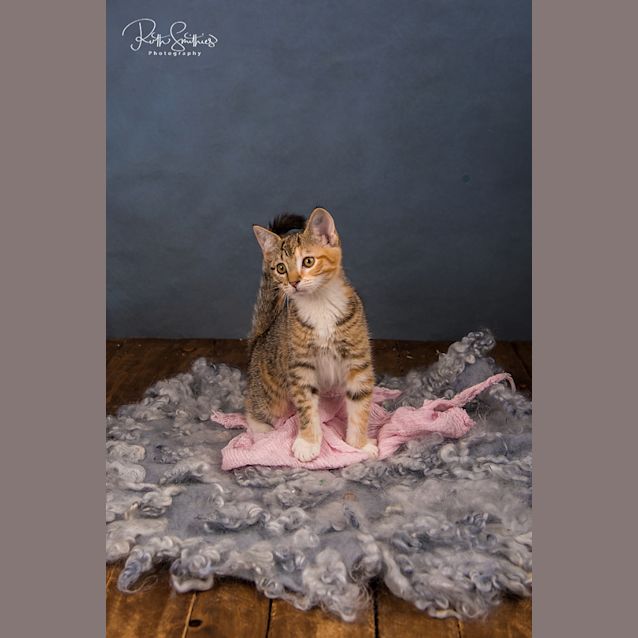 Photo of Doretta Ec0419