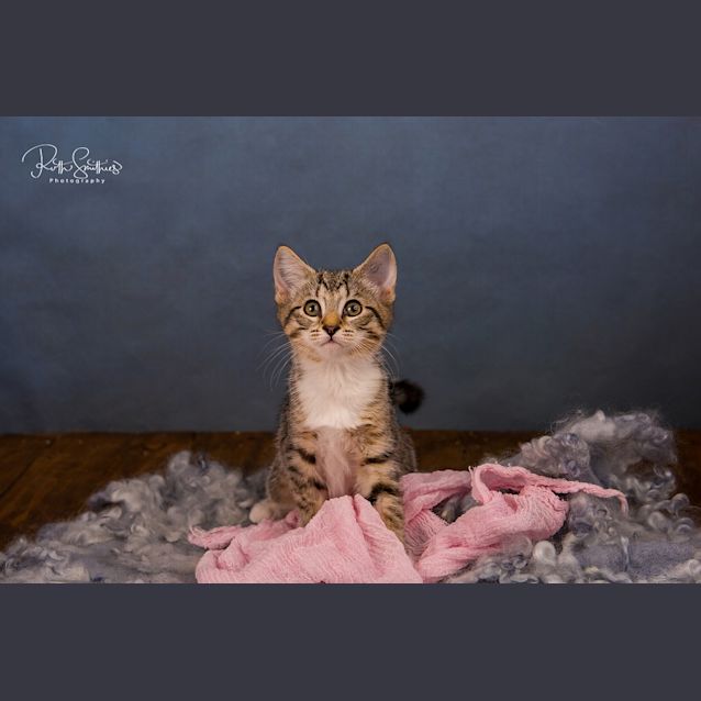 Photo of Wendy Ec0420