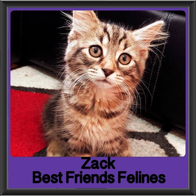 Photo of Zack 