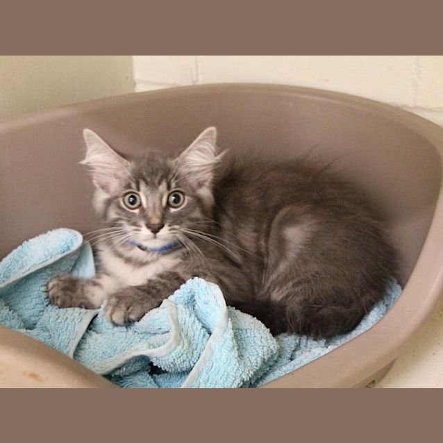 Photo of Peter (0107)