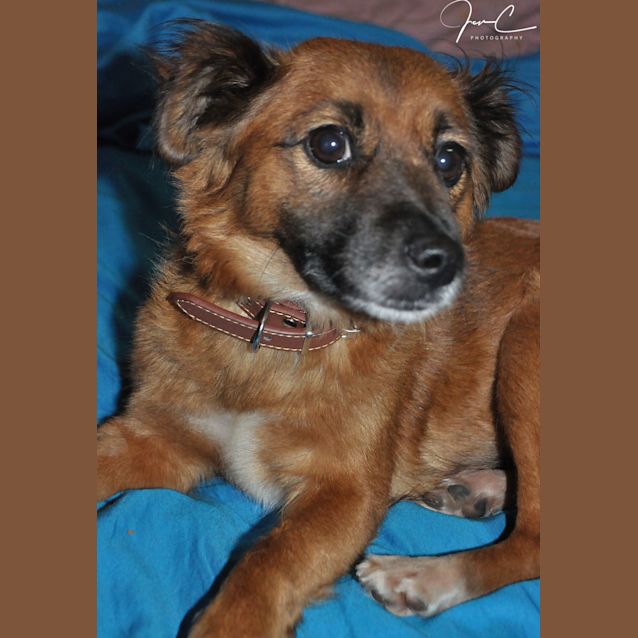 Photo of Lilly ** An Adorable Little Girl **