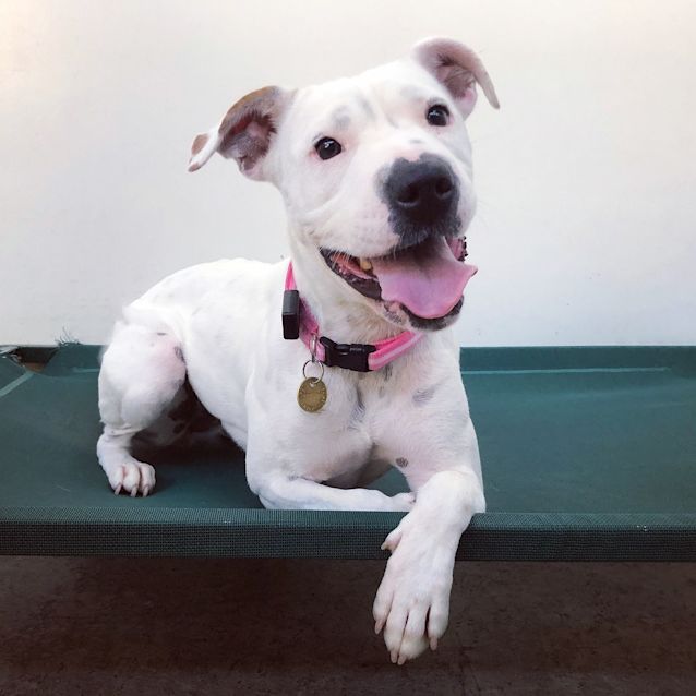 Photo of Missy