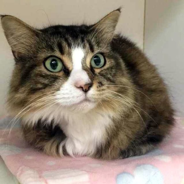 Photo of Maggie