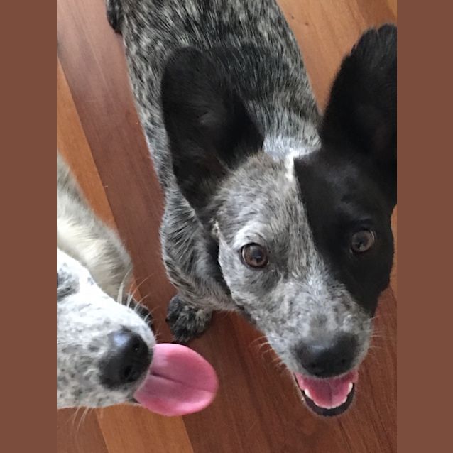 Photo of M And M A Lovely Young Girl