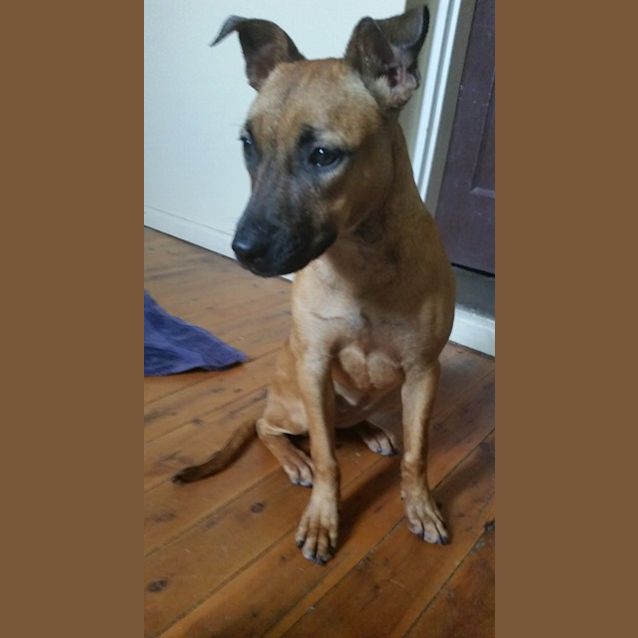 Photo of Lola