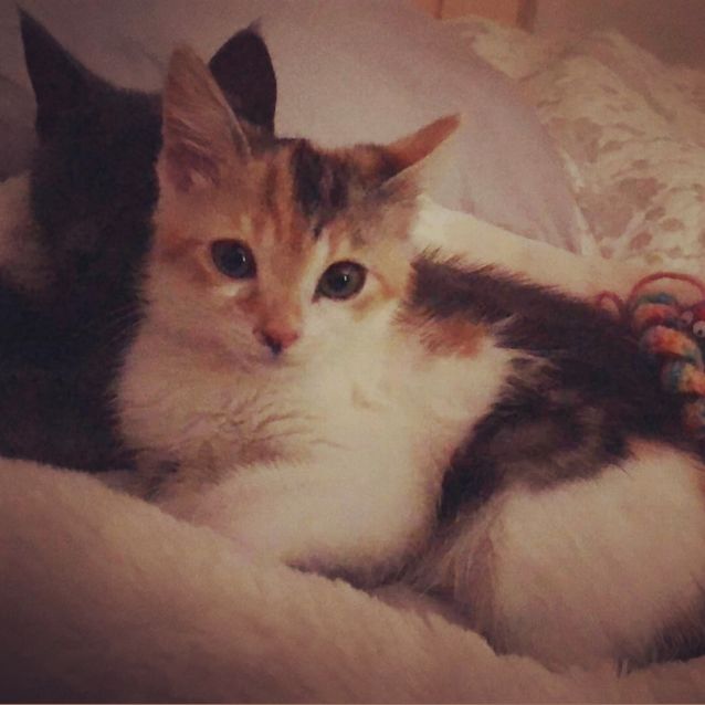 Photo of Stormi 