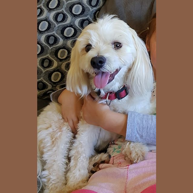 Photo of Max