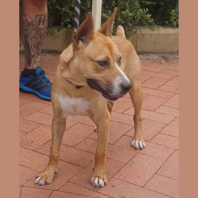 Photo of Moko