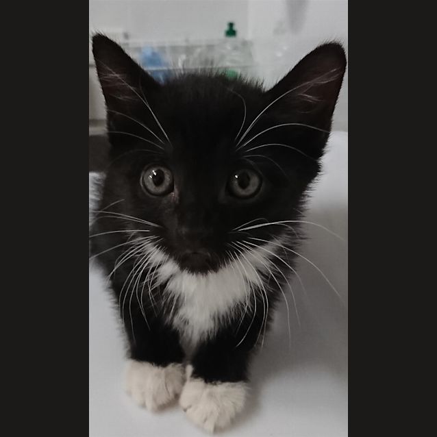 Photo of Bobby
