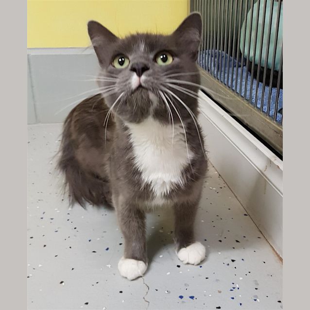 Photo of Archer