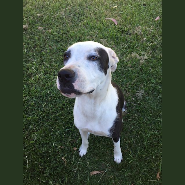 Photo of Lolly