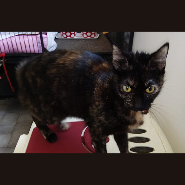 Photo of Cecelia E1477