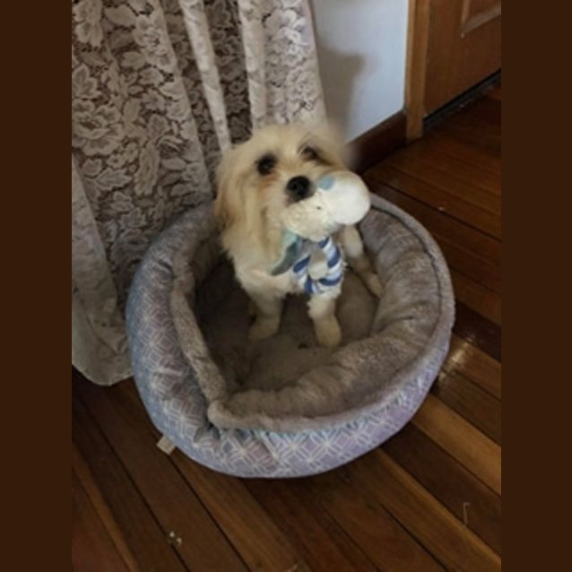 Photo of Lillian