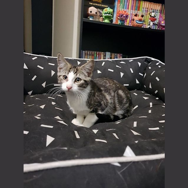 Photo of Morty 