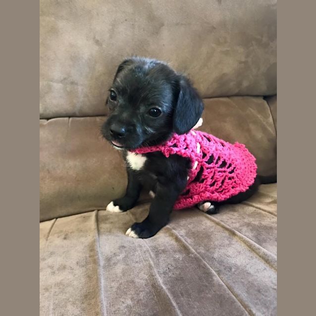 Photo of Baby 