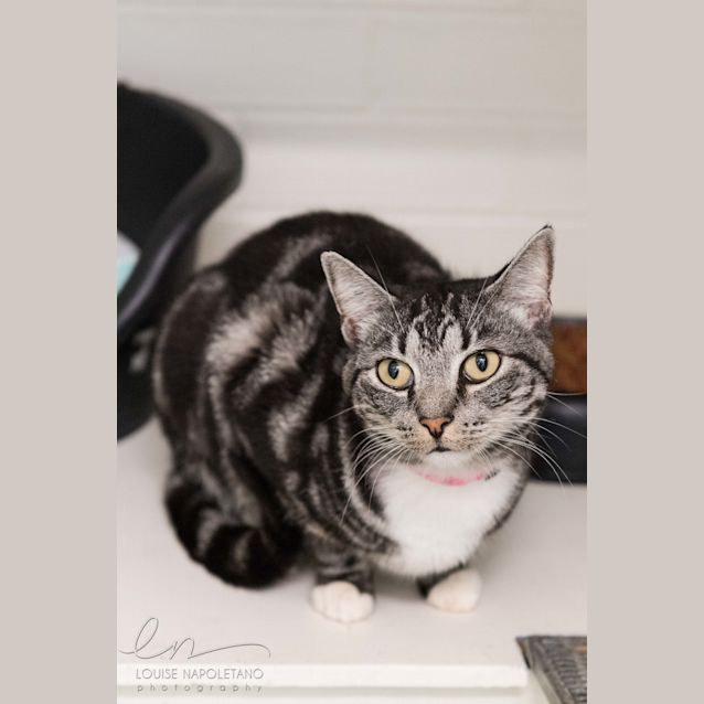 Photo of Charlotte (440)