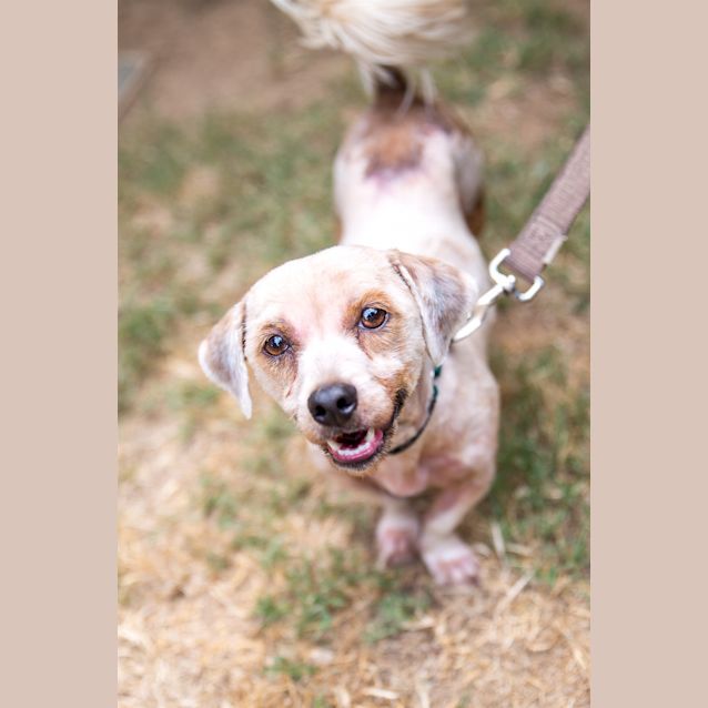 Photo of Hazel