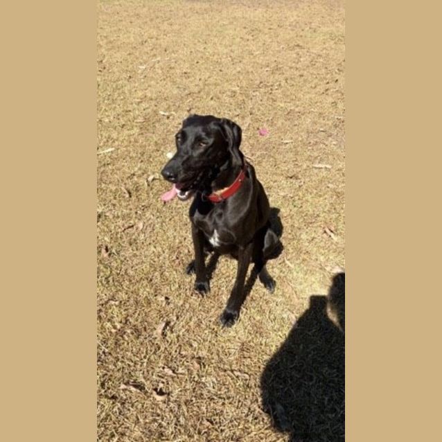 Photo of Mya