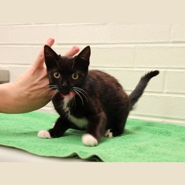 Photo of Maddy (0596)