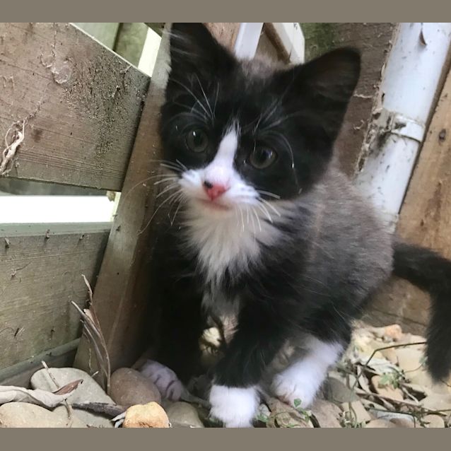 Photo of Princess Hazel