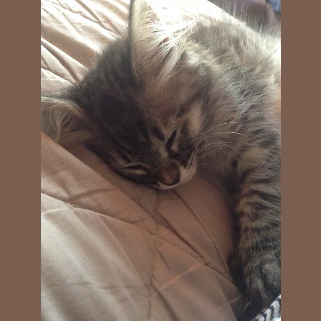 Photo of Kali ❤️