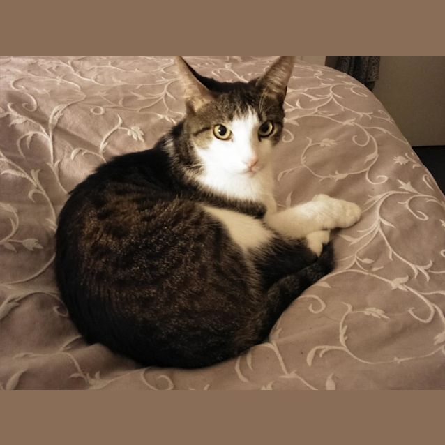 Photo of Stanley