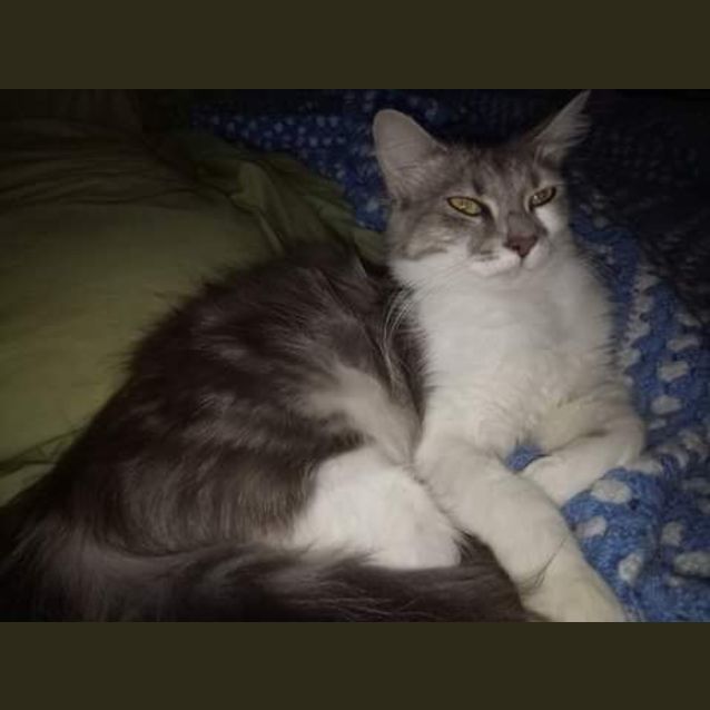 Photo of Miss Magic