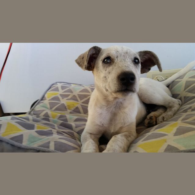 Photo of Molly